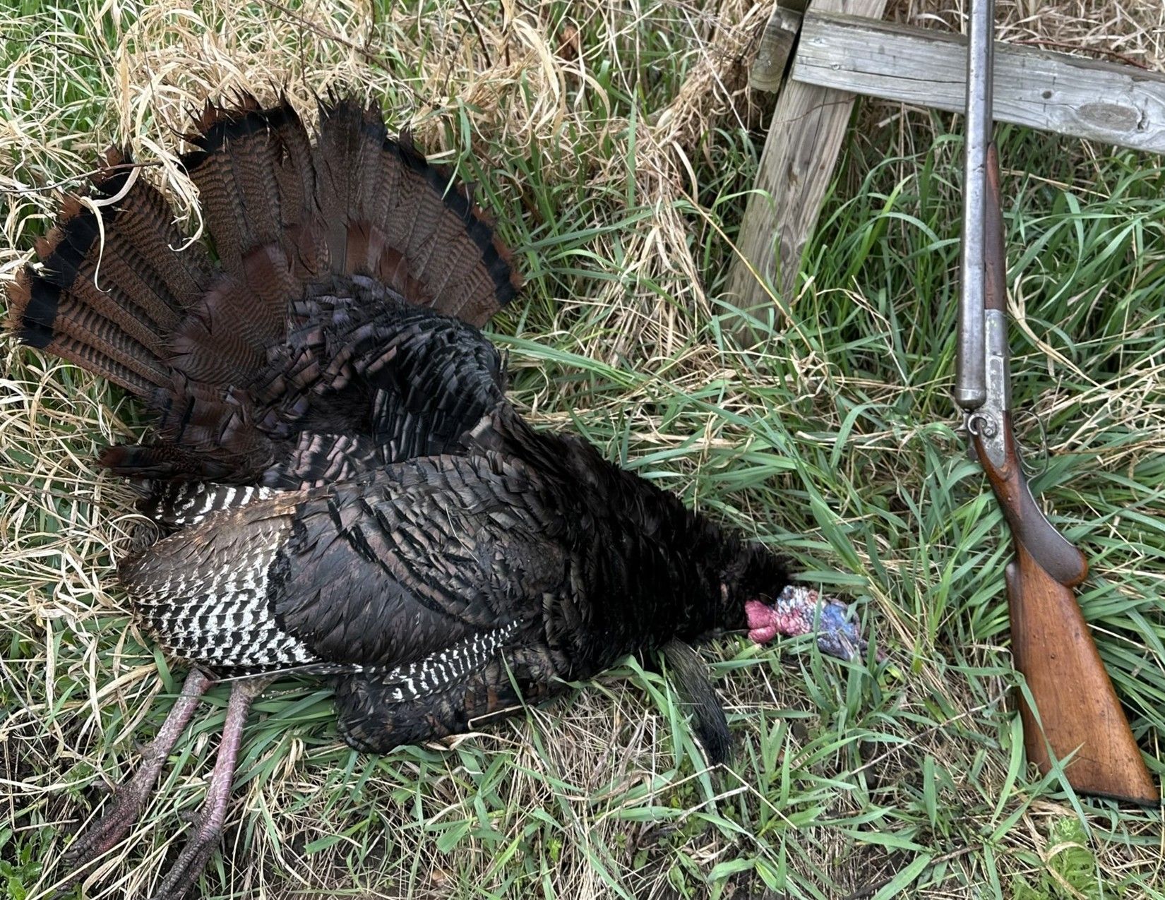 Listing Photo: Hunting Photo 10